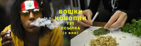 ПСИЛОЦИБИНОВЫЕ ГРИБЫ Алзамай